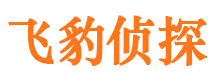 雷波侦探公司